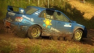 Herczig skin for DiRT 2